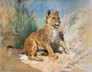 A lion cub - Heywood Hardy — artwork view