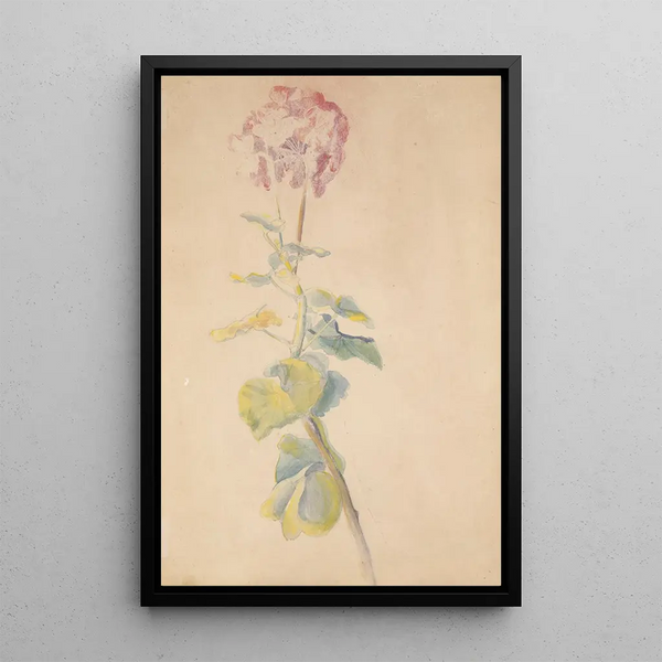 Study of Flower - Hippolyte Petitjean — framed artwork on a wall
