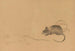 Korin gafu Pl11 - Hochu Nakamura — artwork view