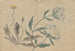 The picture book Krin Pl22 - Hochu Nakamura — artwork view