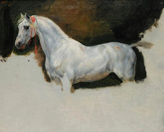 Study of a White Horse - Horace Vernet — artwork view