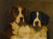 Study of Two Saint Bernards - Hugh George Shaw — artwork view