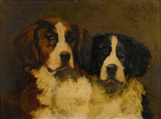Study of Two Saint Bernards - Hugh George Shaw — artwork view