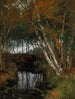A landscape with stream and birches - Hugo Darnaut — artwork view
