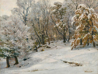 A Winter Day - Hugo Darnaut — artwork view