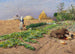 Work in the Fields - Hugo Mühlig — artwork view
