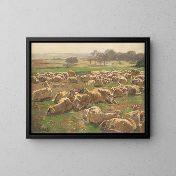 Sheep - Hugo Mühlig — framed artwork on a wall