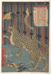Tiger in a cage - Ichirysai Yoshitoyo — artwork view