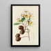Gardenia globosa - Illtyd Buller Pole-Evans — framed artwork on a wall