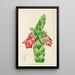 Orothamnus zeyheri - Illtyd Buller Pole-Evans — framed artwork on a wall
