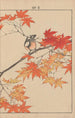 Keinen kach gafu Pl006 - Imao Keinen — artwork view