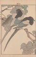 Keinen kach gafu Pl007 - Imao Keinen — artwork view