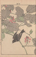 Keinen kach gafu Pl011 - Imao Keinen — artwork view