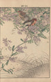 Keinen kach gafu Pl016 - Imao Keinen — artwork view