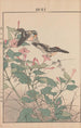 Keinen kach gafu Pl023 - Imao Keinen — artwork view