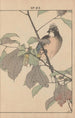 Keinen kach gafu Pl028 - Imao Keinen — artwork view