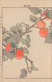 Keinen kach gafu Pl029 - Imao Keinen — artwork view