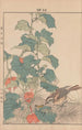 Keinen kach gafu Pl037 - Imao Keinen — artwork view
