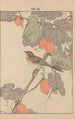 Keinen kach gafu Pl038 - Imao Keinen — artwork view