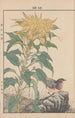 Keinen kach gafu Pl039 - Imao Keinen — artwork view