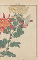 Keinen kach gafu Pl040 - Imao Keinen — artwork view