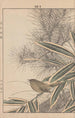Keinen kach gafu Pl043 - Imao Keinen — artwork view