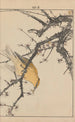 Keinen kach gafu Pl044 - Imao Keinen — artwork view