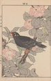 Keinen kach gafu Pl045 - Imao Keinen — artwork view