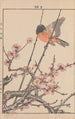 Keinen kach gafu Pl047 - Imao Keinen — artwork view