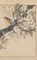 Keinen kach gafu Pl052 - Imao Keinen — artwork view