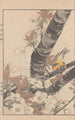 Keinen kach gafu Pl053 - Imao Keinen — artwork view