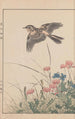 Keinen kach gafu Pl055 - Imao Keinen — artwork view