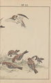 Keinen kach gafu Pl056 - Imao Keinen — artwork view