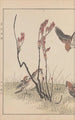 Keinen kach gafu Pl057 - Imao Keinen — artwork view