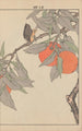 Keinen kach gafu Pl058 - Imao Keinen — artwork view