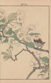 Keinen kach gafu Pl060 - Imao Keinen — artwork view