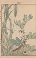 Keinen kach gafu Pl063 - Imao Keinen — artwork view