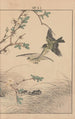 Keinen kach gafu Pl068 - Imao Keinen — artwork view