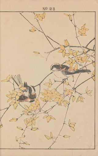 Imao Keinen - Keinen kach gafu Pl072.webp