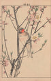 Keinen kach gafu Pl073 - Imao Keinen — artwork view