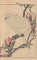 Keinen kach gafu Pl074 - Imao Keinen — artwork view