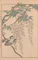Keinen kach gafu Pl075 - Imao Keinen — artwork view