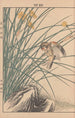 Keinen kach gafu Pl081 - Imao Keinen — artwork view