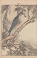 Keinen kach gafu Pl083 - Imao Keinen — artwork view