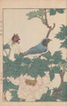 Keinen kach gafu Pl085 - Imao Keinen — artwork view
