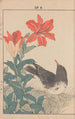 Keinen kach gafu Pl089 - Imao Keinen — artwork view