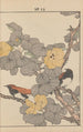 Keinen kach gafu Pl096 - Imao Keinen — artwork view