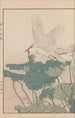 Keinen kach gafu Pl101 - Imao Keinen — artwork view