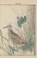 Keinen kach gafu Pl108 - Imao Keinen — artwork view