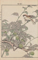 Keinen kach gafu Pl109 - Imao Keinen — artwork view